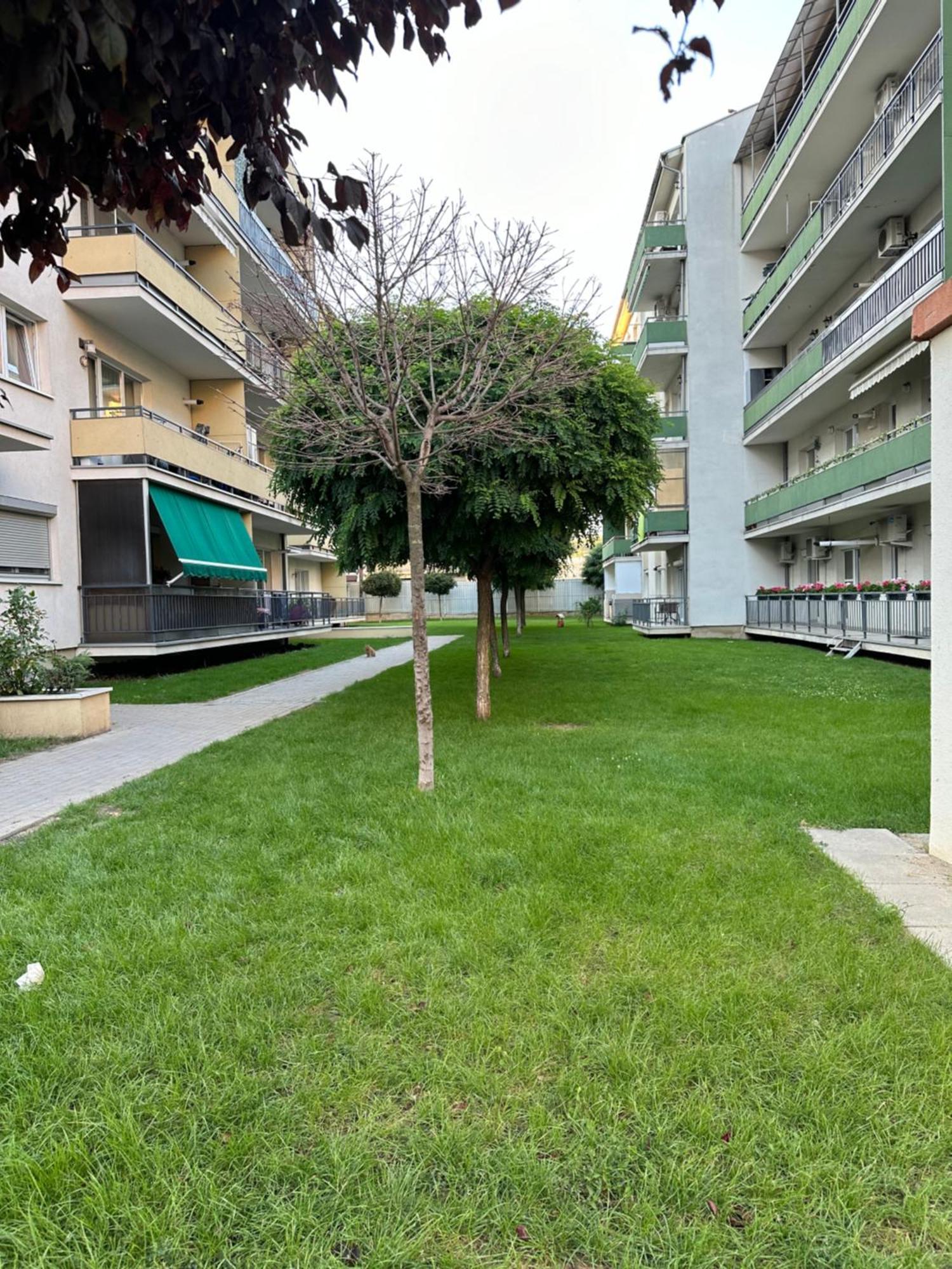 Junior Residence Studio Cluj-Napoca Ngoại thất bức ảnh