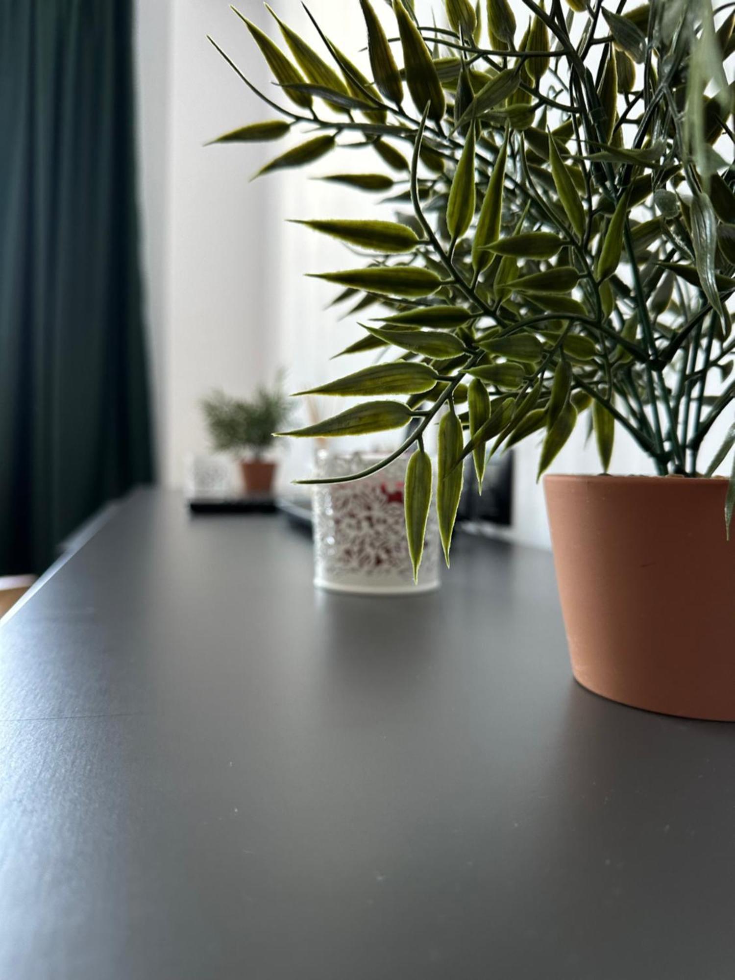 Junior Residence Studio Cluj-Napoca Ngoại thất bức ảnh